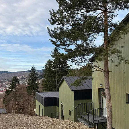 зелено Skhidnytsia