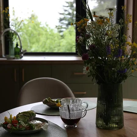 Holiday home зелено Skhidnytsia