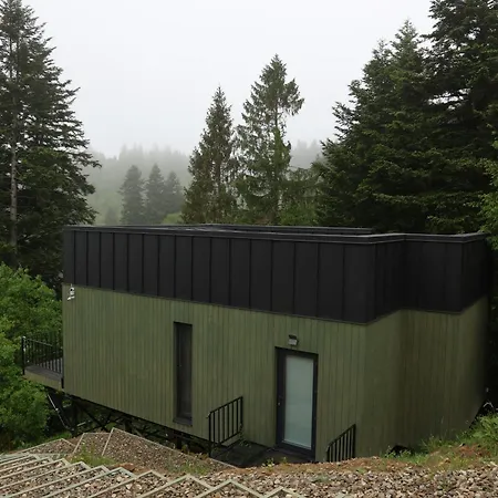 зелено Holiday home Skhidnytsia