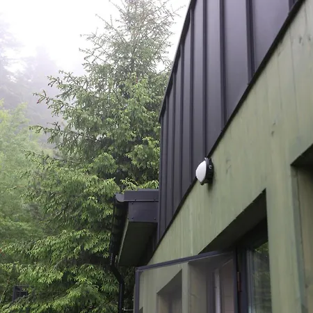 зелено Holiday home Skhidnytsia