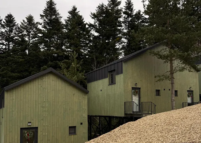 度假居 зелено Skhidnytsia